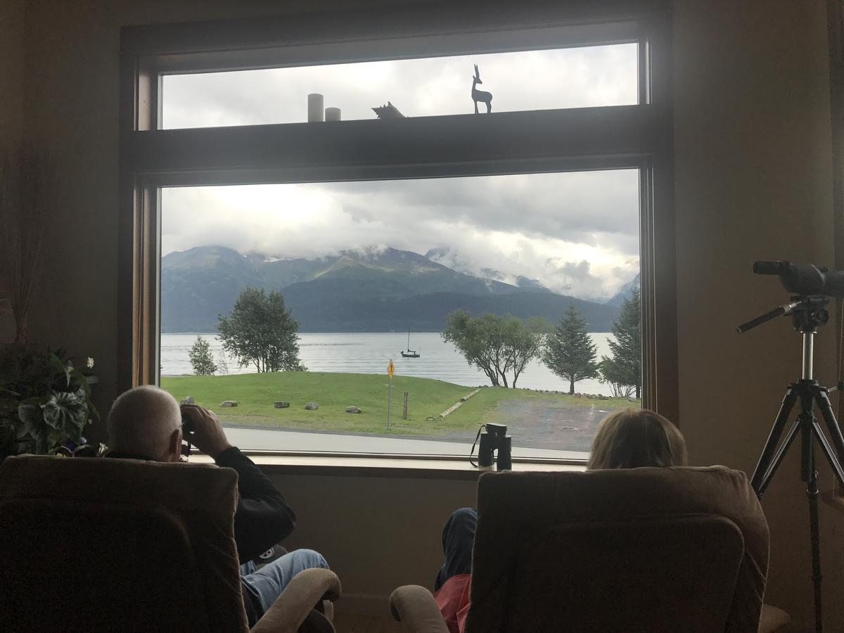 Seward Front Row Bed And Breakfast Buitenkant foto